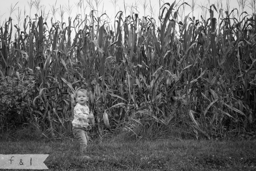 Fall 2013 Strouds Preserve Family Photographer