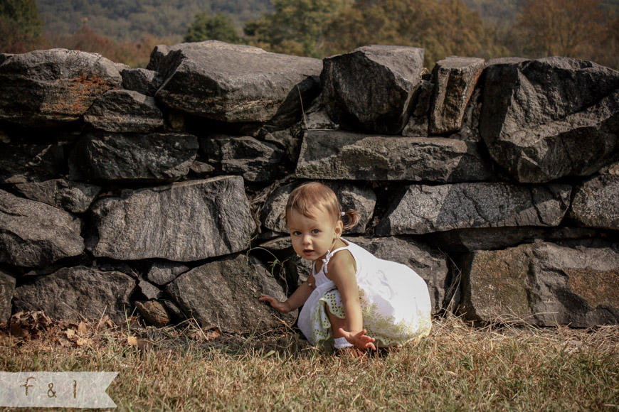 Baby Photographer West Chester, PA fall 2013