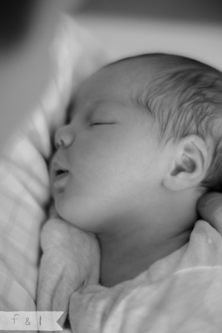 feather + light newborn photographer West Chester, PA