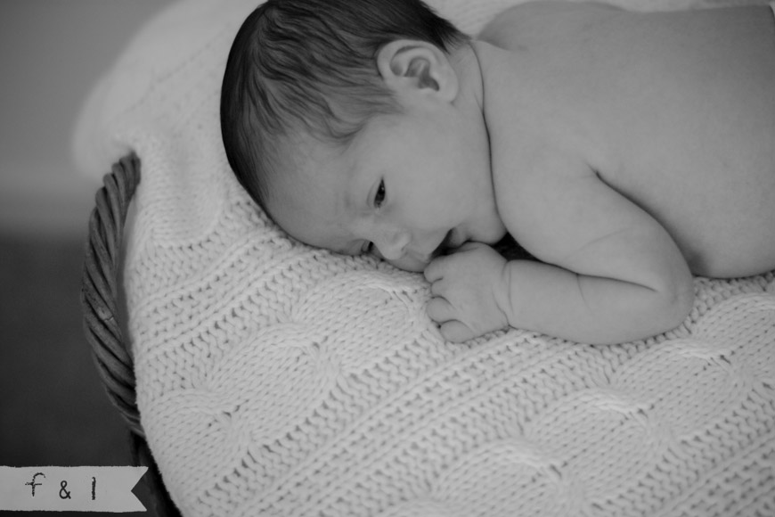 feather + light newborn photographer West Chester, PA