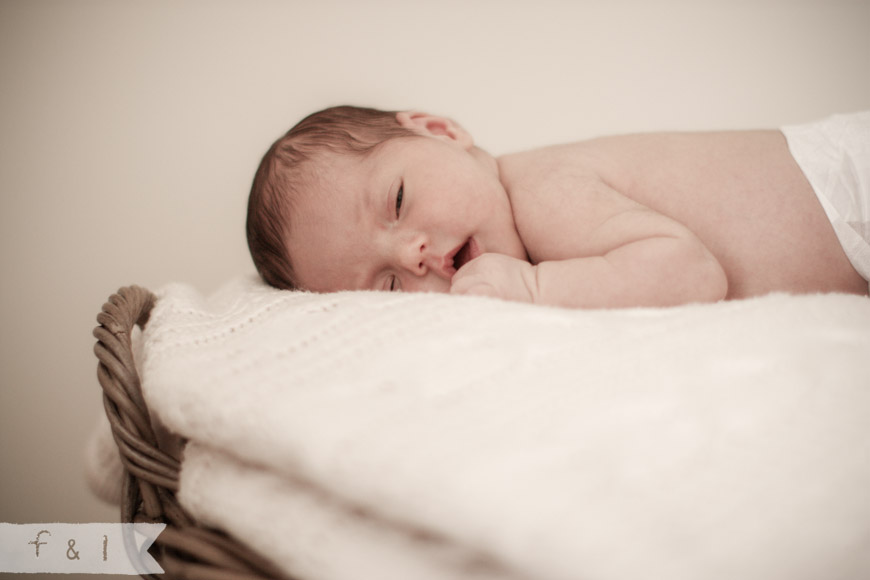 feather + light newborn photographer West Chester, PA