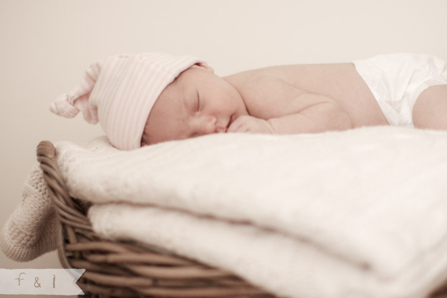 feather + light newborn photographer West Chester, PA