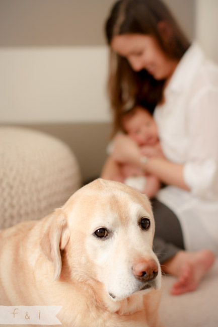 feather + light newborn photographer West Chester, PA