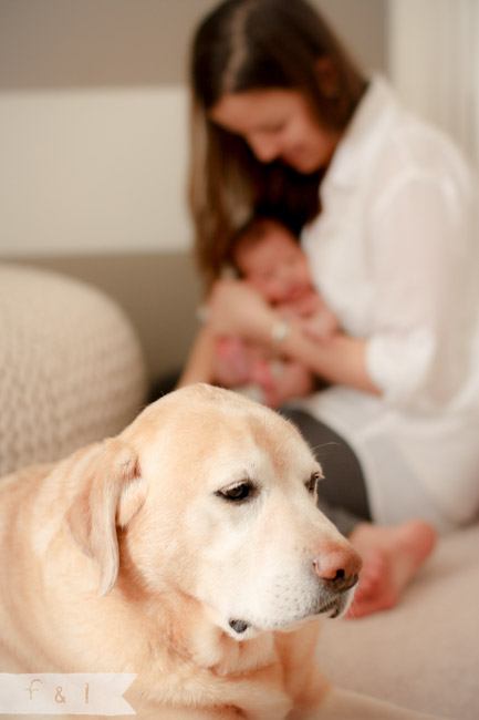 feather + light newborn photographer West Chester, PA