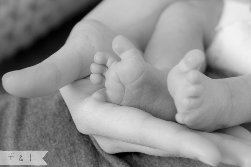 feather + light newborn photographer West Chester, PA