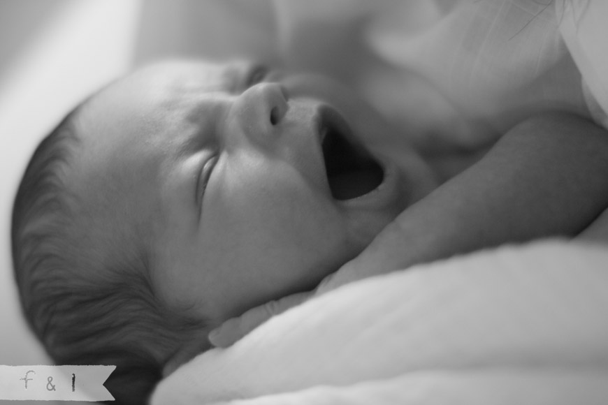 feather + light newborn photographer West Chester, PA