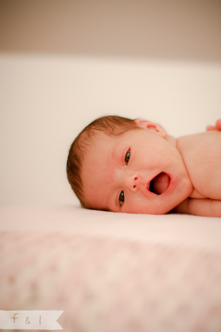 feather + light newborn photographer West Chester, PA