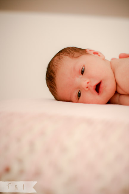 feather + light newborn photographer West Chester, PA