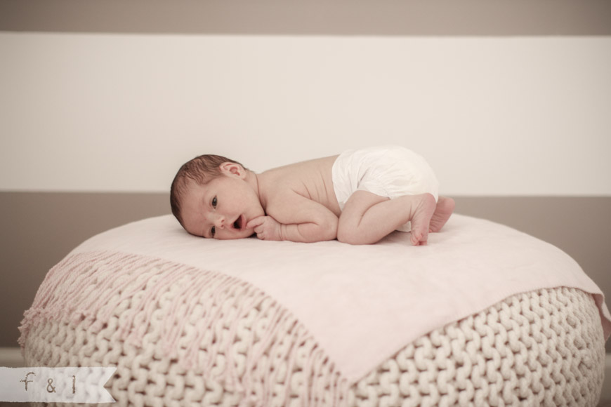 feather + light newborn photographer West Chester, PA