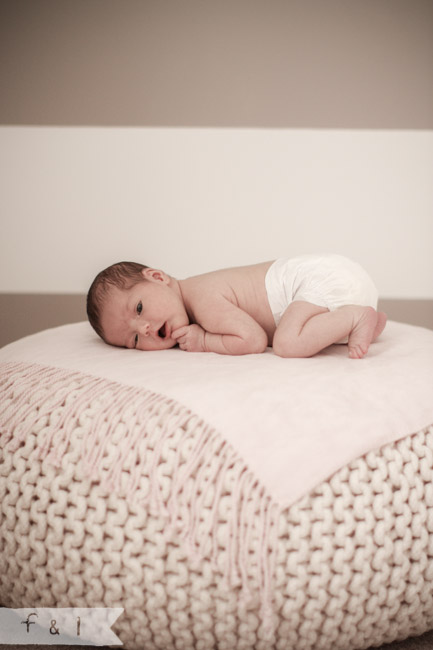 feather + light newborn photographer West Chester, PA