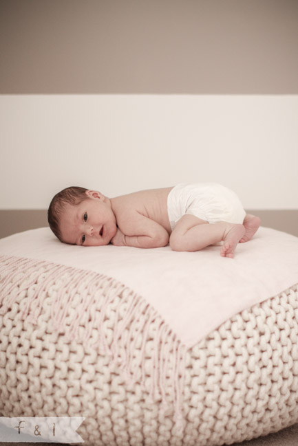 feather + light newborn photographer West Chester, PA