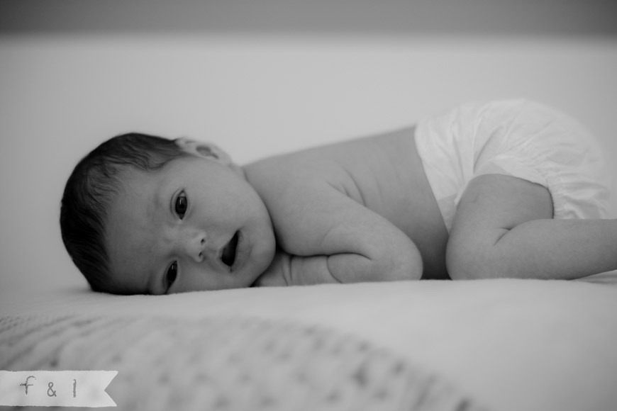 feather + light newborn photographer West Chester, PA