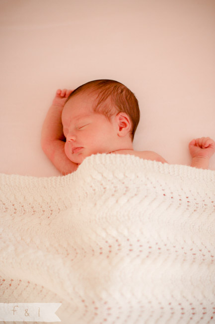 feather + light newborn photographer West Chester, PA