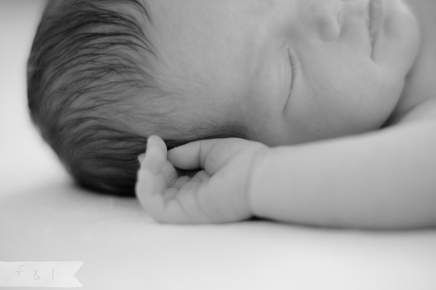 feather + light newborn photographer West Chester, PA