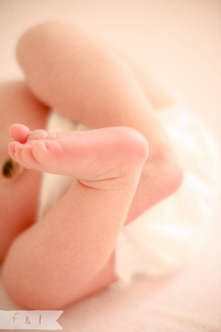 feather + light newborn photographer West Chester, PA