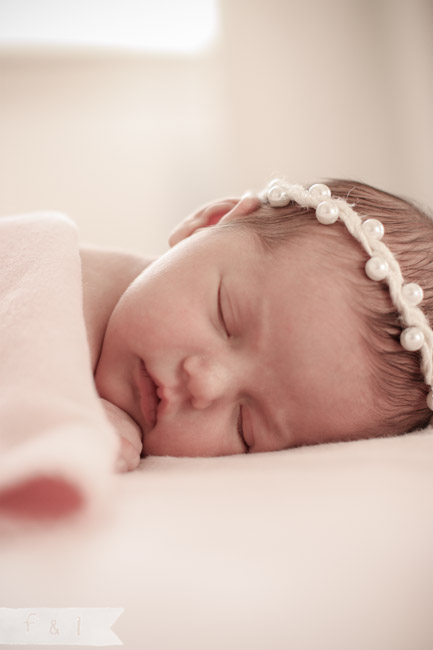 feather + light newborn photographer West Chester, PA