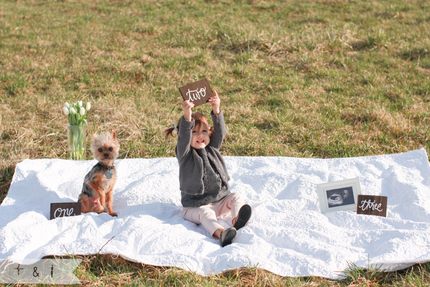 Baby Reveal Photo Shoot | feather + light photography | West Chester, PA