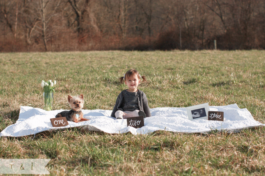 Baby Reveal Photo Shoot | feather + light photography | West Chester, PA