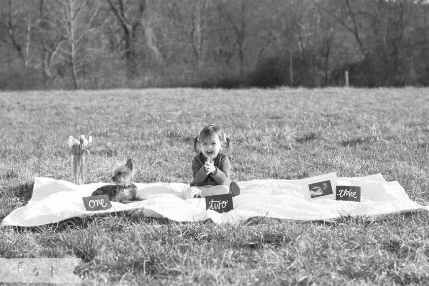 Baby Reveal Photo Shoot | feather + light photography | West Chester, PA