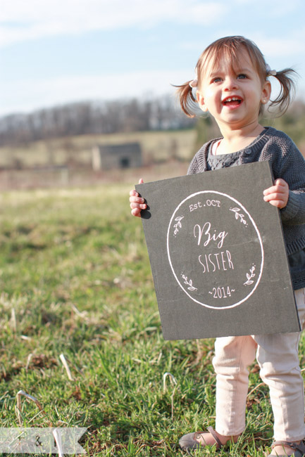 Baby Reveal Photo Shoot | feather + light photography | West Chester, PA