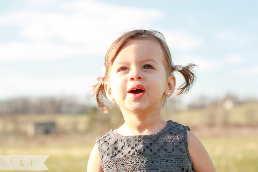 Baby Reveal Photo Shoot | feather + light photography | West Chester, PA