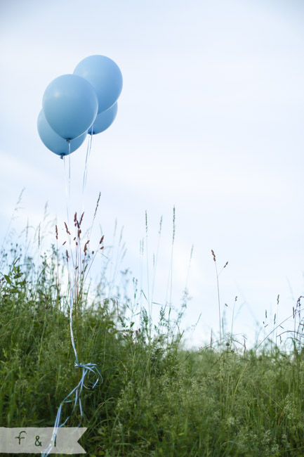 Gender Reveal | feather + light photography | West Chester, PA