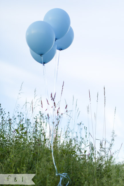 Gender Reveal | feather + light photography | West Chester, PA