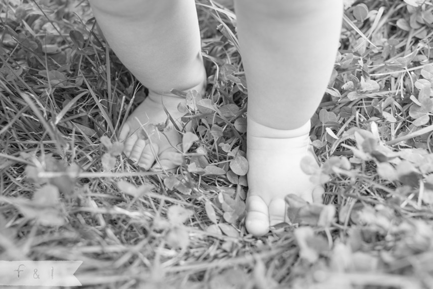 feather + light photography | Philadelphia area child + family photographer 