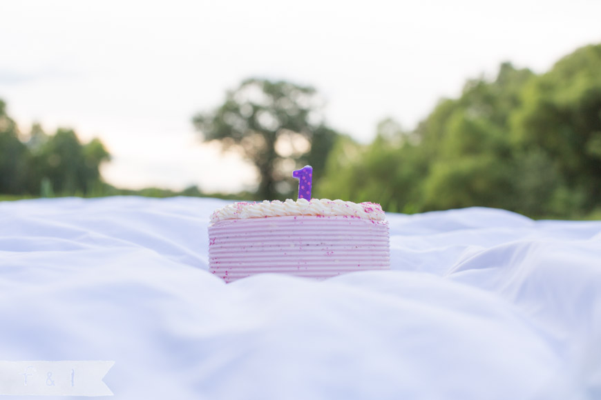 feather + light photography | Philadelphia area child + family photographer | cake smash