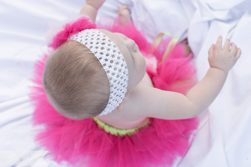 feather + light photography | Philadelphia area child + family photographer 