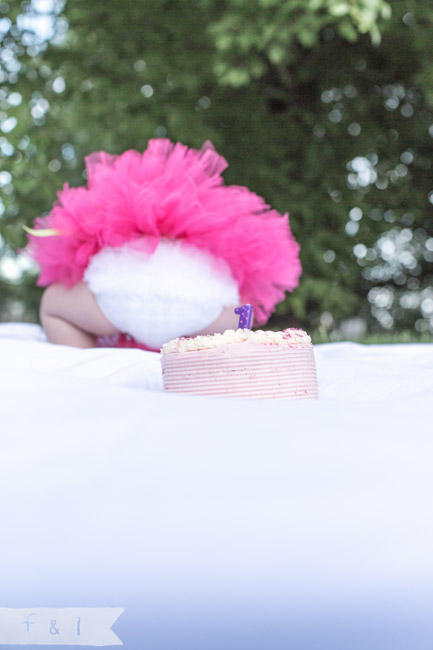 feather + light photography | Philadelphia area child + family photographer | cake smash