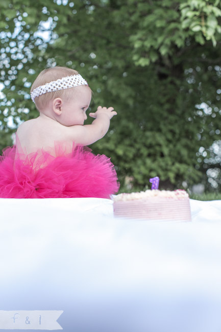 feather + light photography | Philadelphia area child + family photographer | cake smash