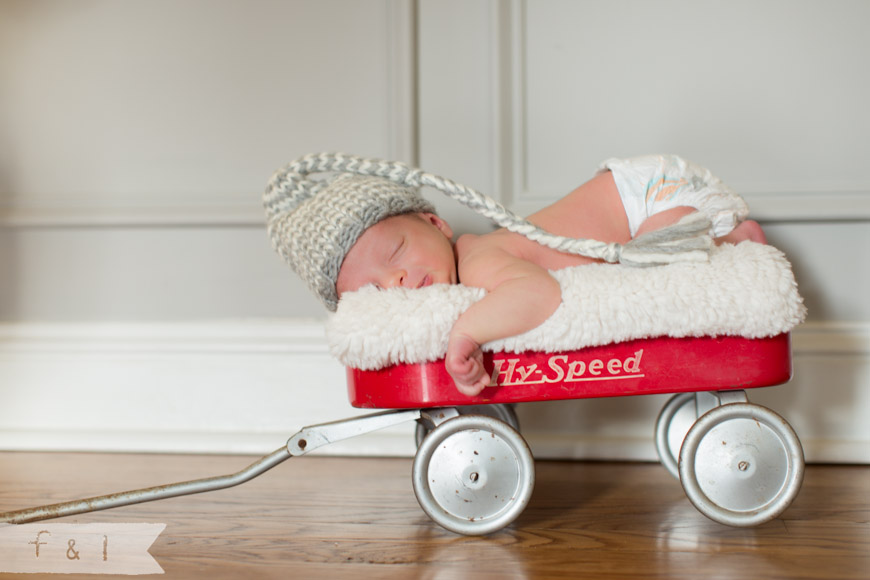 feather + light photography| newborn photographer West Chester, PA | Mainline Newborn Photographer