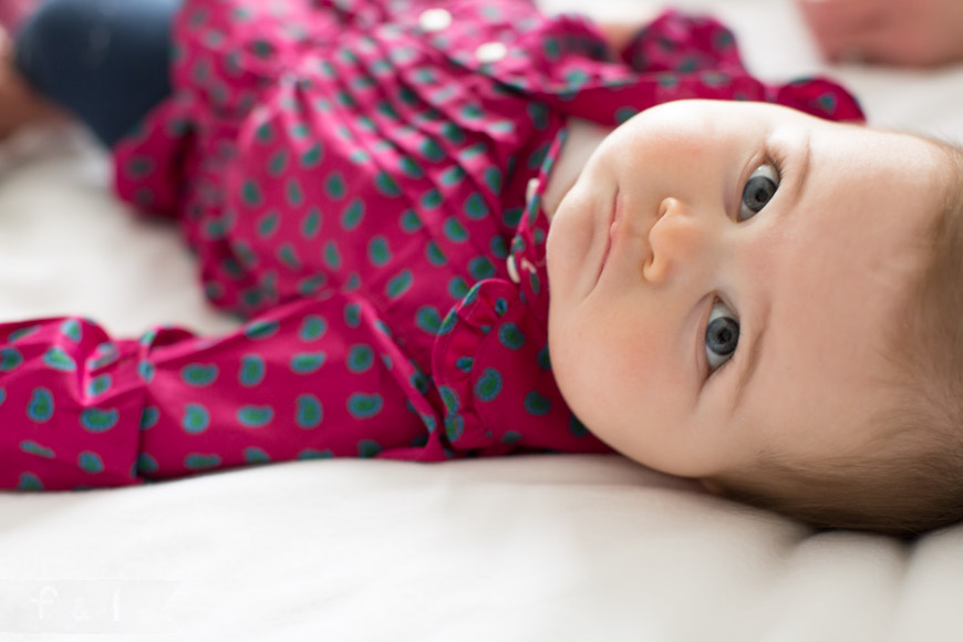 feather + light photography | child photographer | mainline, PA