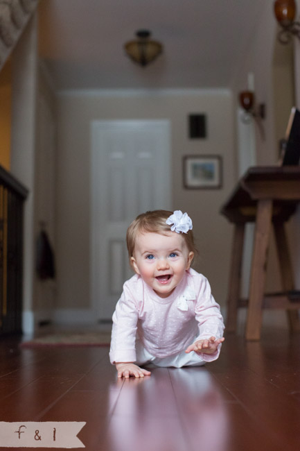 feather + light photography | child photographer | Wilmington, DE