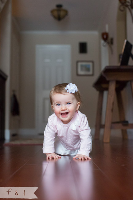 feather + light photography |child photographer | Wilmington, DE