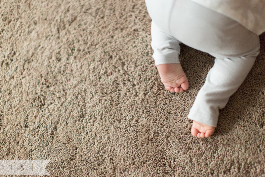 feather + light photography | family + child photographer | Wilmington, DE