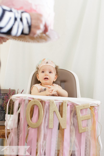 feather + light photography | first birthday | woodland animal theme | child + party photographer | West Chester, PA  | pink + mint birthday party 