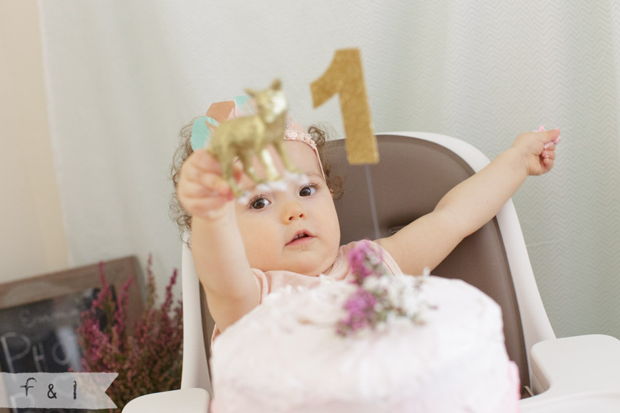 feather + light photography | first birthday | woodland animal theme | child + party photographer | West Chester, PA  | pink + mint birthday party 