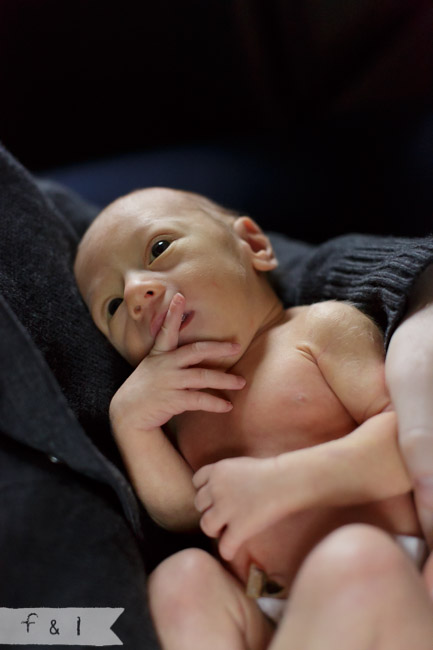 feather + light photography | West Chester, PA | newborn photographer 