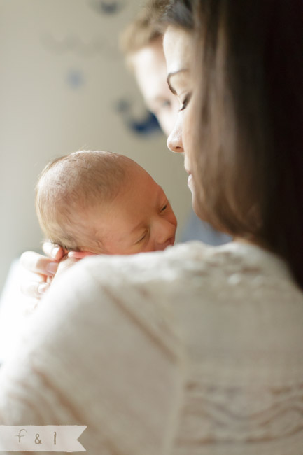 feather + light photography | West Chester, PA | newborn photographer 