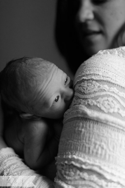 feather + light photography | West Chester, PA | newborn photographer 