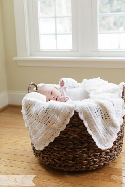 feather + light photography | Main Line, PA  newborn photographer | 