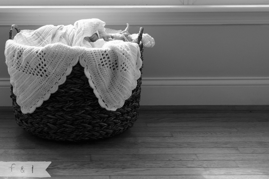 feather + light photography | Main Line, PA  newborn photographer | 