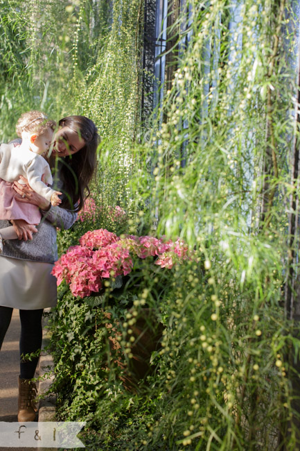 feather + light photography | family photography | Kennett Square, PA |Longwood Gardens