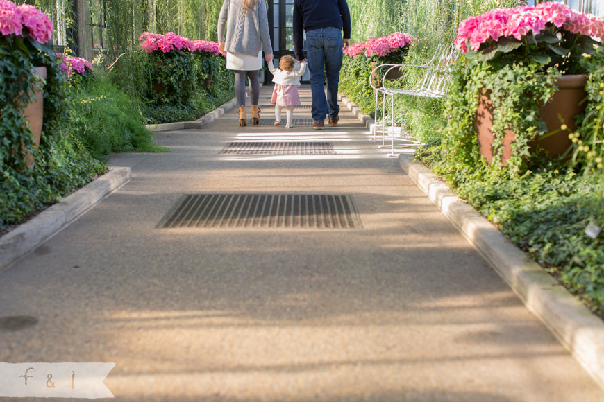 feather + light photography | family photography | Kennett Square, PA |Longwood Gardens