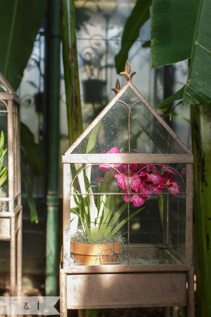 feather + light photography | family photography | Kennett Square, PA |Longwood Gardens