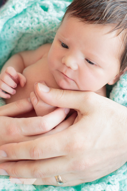 feather + light photography | main line, pa newborn + lifestyle photographer | newborn 