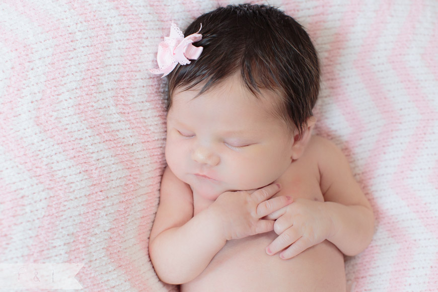 feather + light photography | main line, pa newborn  photographer | pink + white