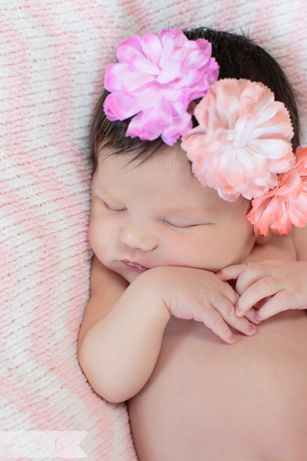 feather + light photography | main line, pa newborn  photographer | pink + white